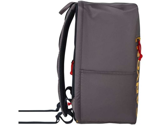 Рюкзак для ноутбука Canyon CNS-CSZ02GY01 grey для ноутбука 15.6